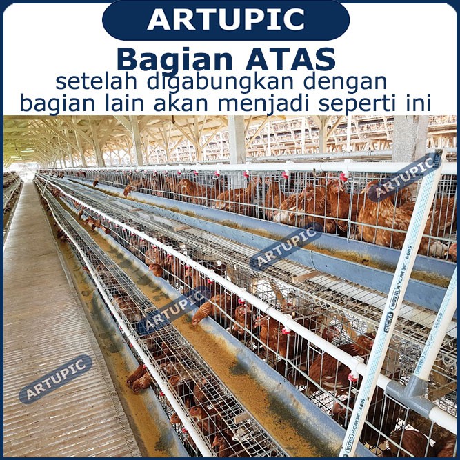 ATAS SAJA untuk Kandang Ayam Petelur ARTUPIC Baterai Kandang