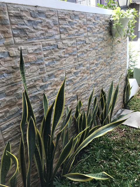 Media Tanam Organik Lengkap