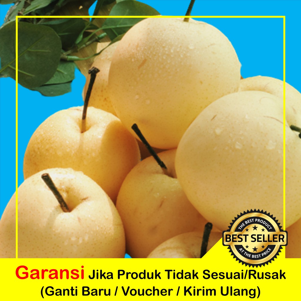 

PEAR CENTURY FRESH MANIS SEGAR