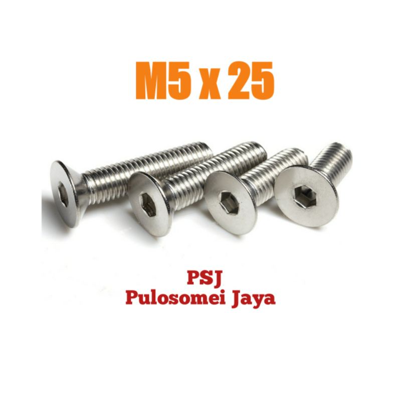 Baut JF L Stainless / Verseng M5 x 25 Stainless 304