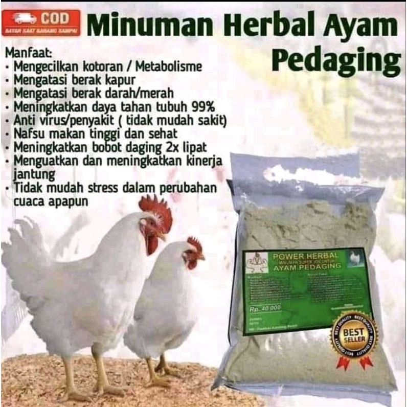 

minuman power herbal ayam pedaging 100% alami