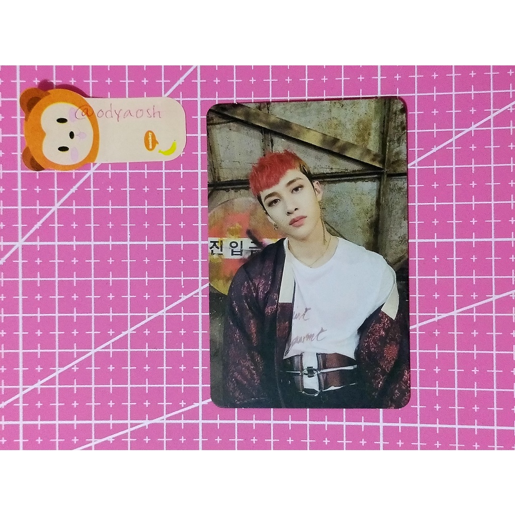 PC BANGCHAN STRAY KIDS OFFICIAL ALBUM IN LIFE