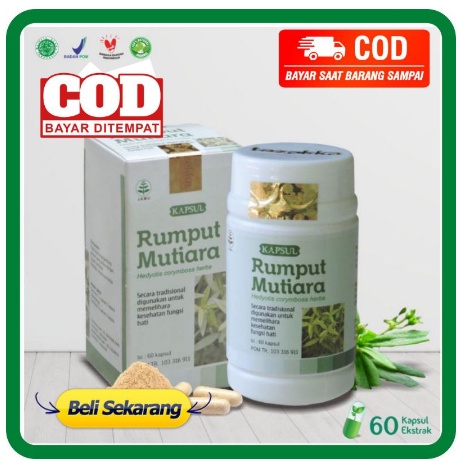 Kapsul Herbal RUMPUT MUTIARA Isi 60 Tazakka - Obat Herbal Kanker Kista Benjolan Wasir Ambeyen Ambeien AMPUH