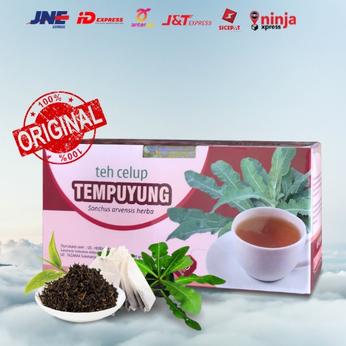 

Teh Obat herbal teh tempuyung original tazakka mengobati batu ginjal melancarkan buang air kecil
