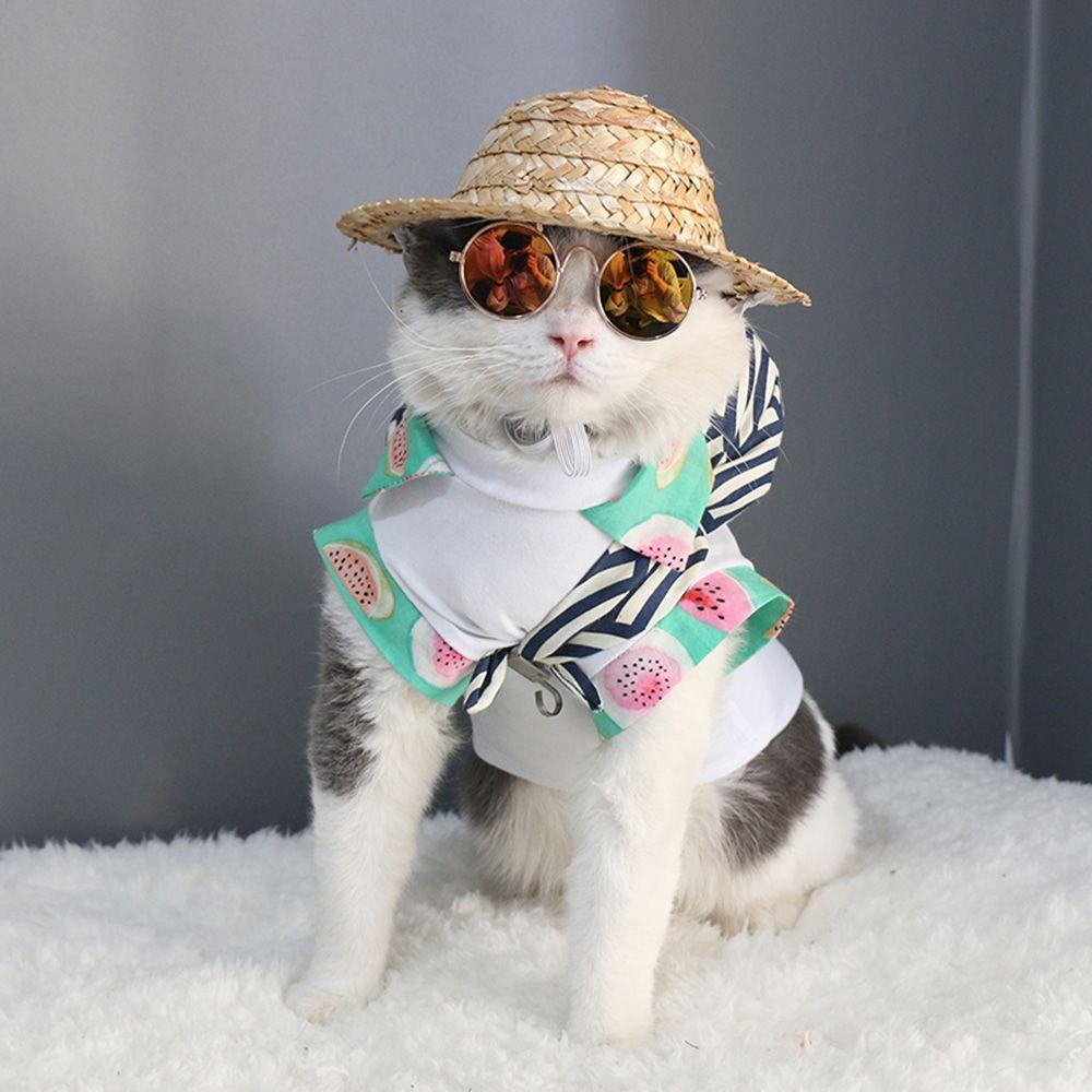 Solighter Kacamata Kucing Anjing Fashion Dress Up Kitten Grooming Pet Pelindung Mata