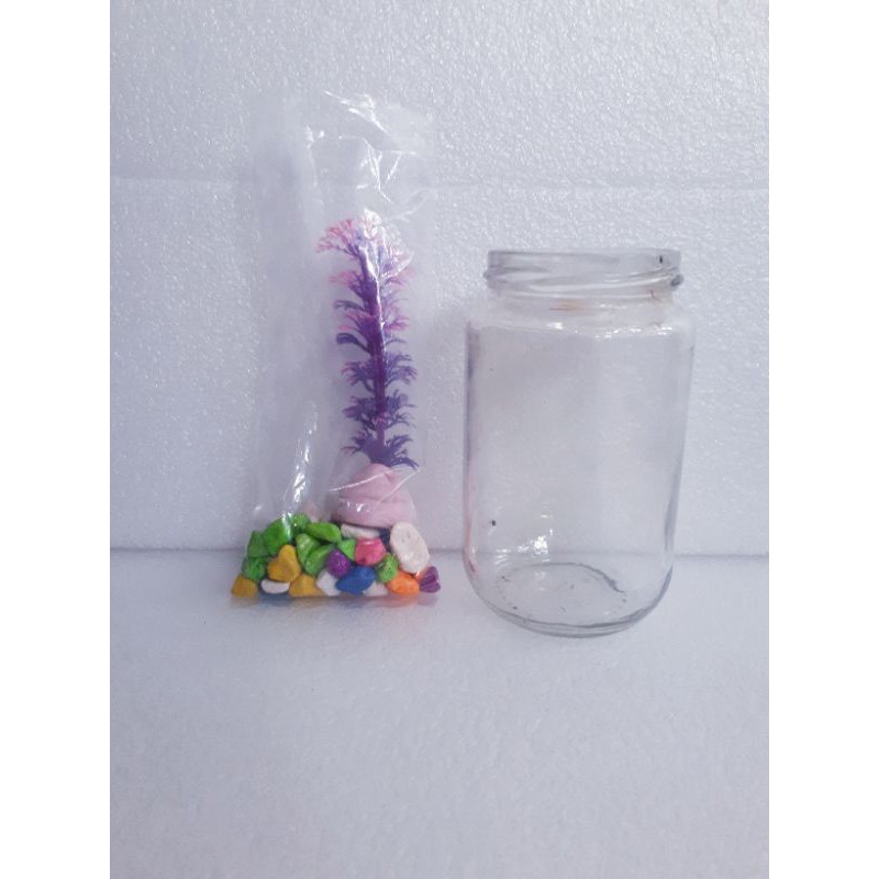 TOPLES IKAN CUPANG 1set TANAMAN HIAS AQURIUM IKAN CUPANG BOTOL CUPANG