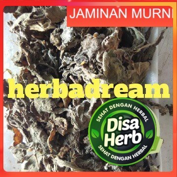 

DAUN DEWA / SAMSIT KERING 100 GRAM - Gynura Divaricata - MURNI - JSR - REMPAH - PREMIUM QUALITY