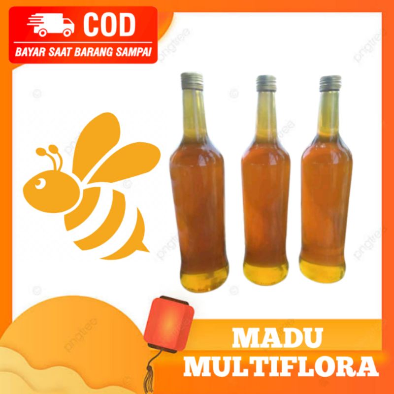 

Madu Murni Multiflora Lebah Budidaya 100%