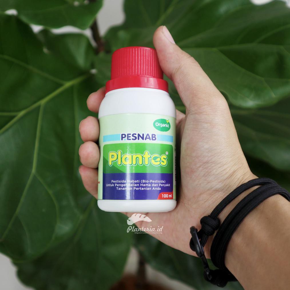 |Terbaru| Pestisida Organik Plantes Untuk Menghilangkan Ulat Kutu Tanaman Promo
