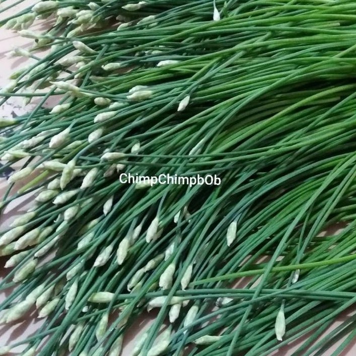 

BUNGA KUCAI SEGAR / CHIVE FLOWER FRESH VEGETABLE