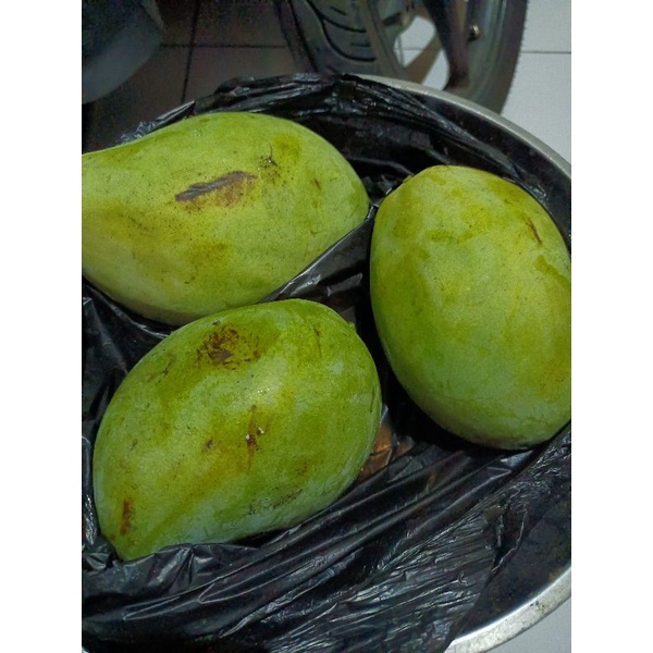 

MANGGA DARMAYU 1kg