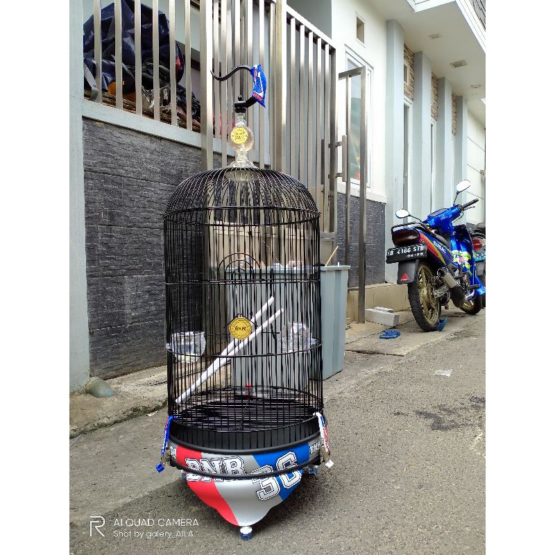 sangkar BNR 36 / tebok BNR 36
