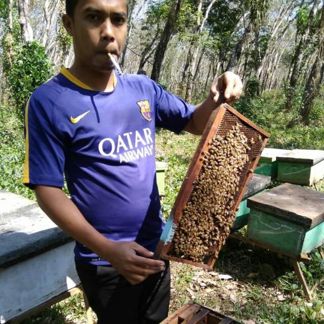

Jual MADU ASLI Produk UNGARAN
