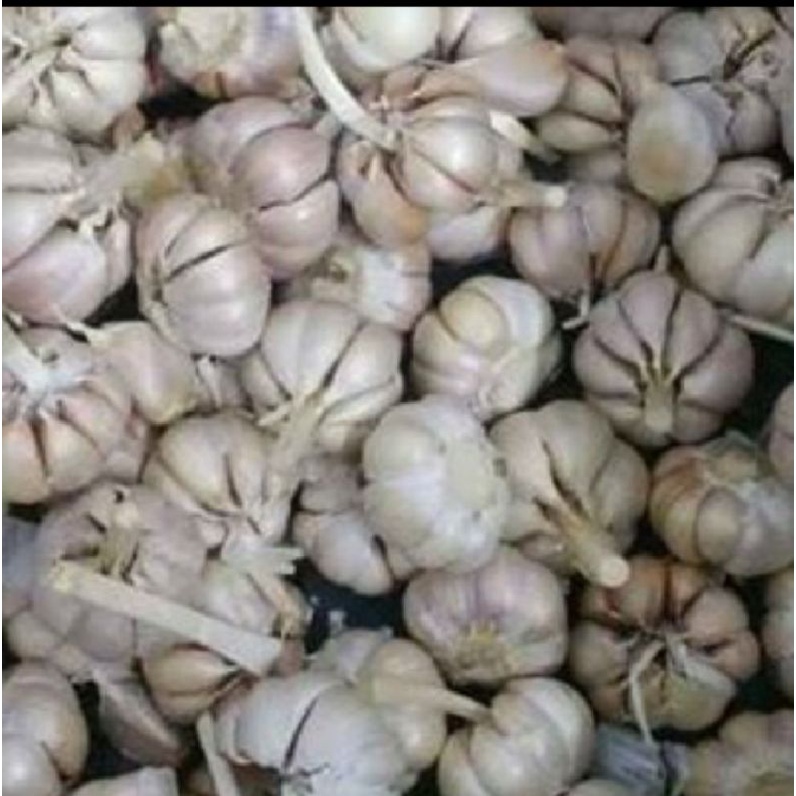 

Bawang Putih Bersih 500gr