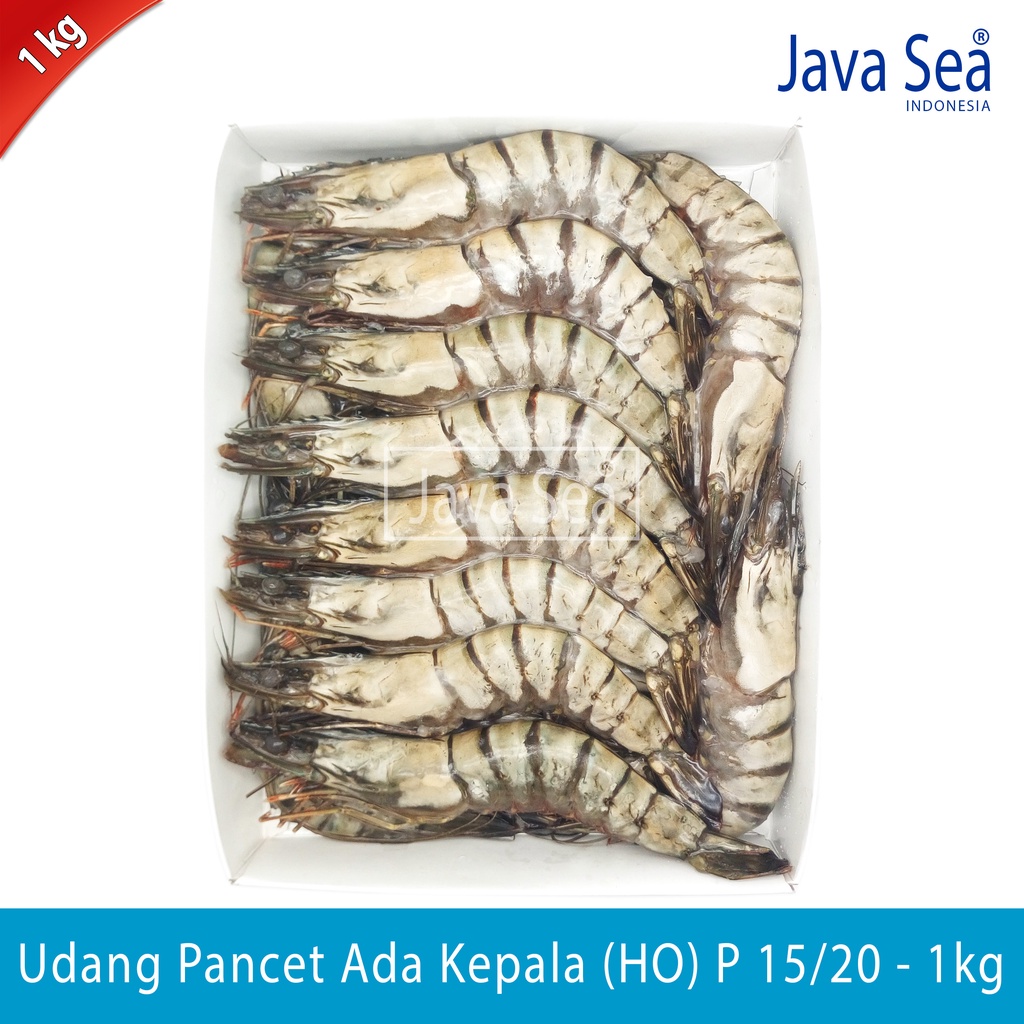 

Udang Pancet Utuh Ada Kepala HO P 15/20 pack 1kg Java Sea
