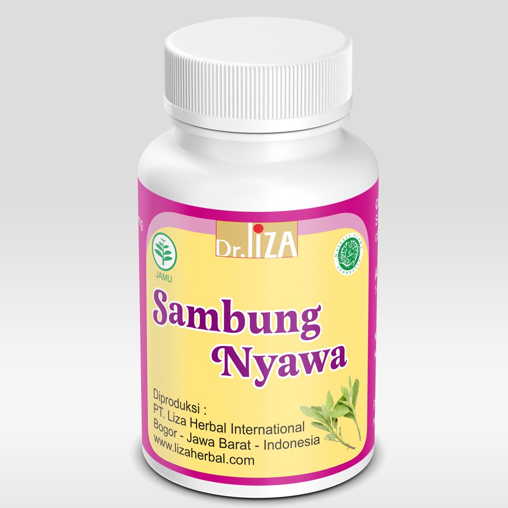 Sambung Nyawa Liza Herbal Untuk Kanker dan Sinusitis