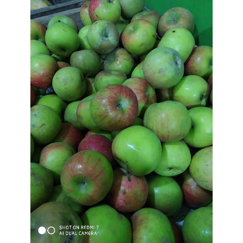 Apel malang / buah segarn1kg