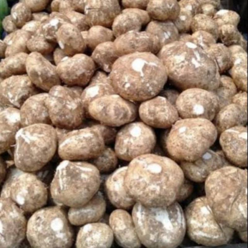 

Bengkuang - 500 gram