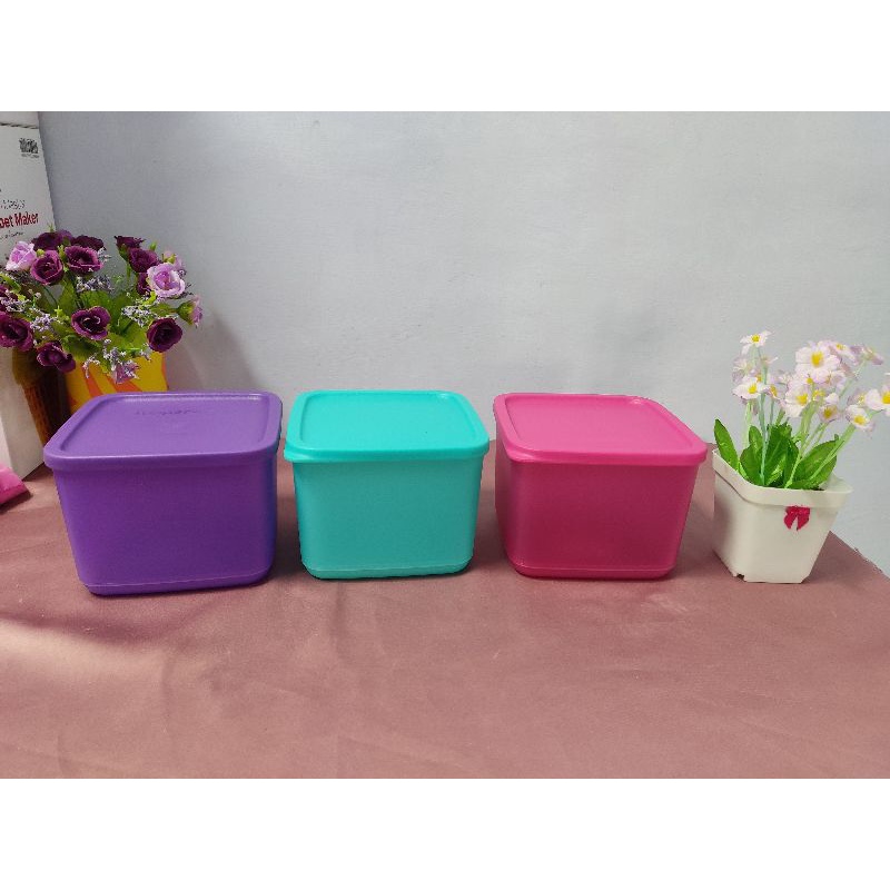 Toples1L tupperware medium tropical