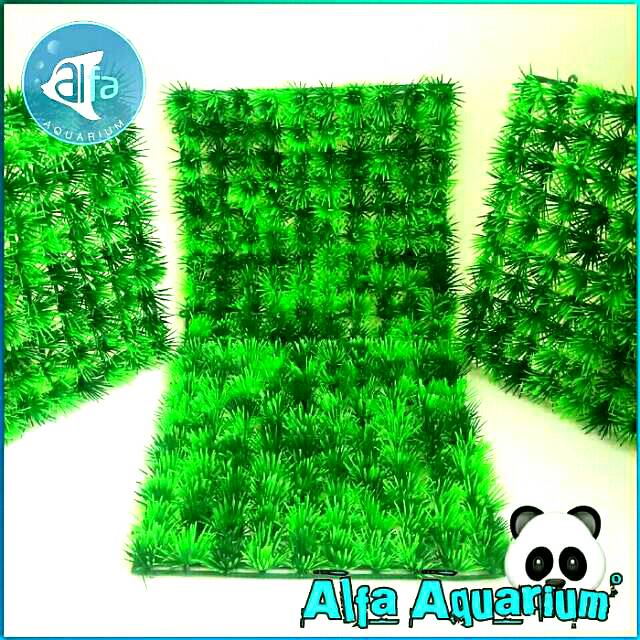  RUMPUT  AQUARIUM  Daun Mini Hiasan Aquarium  Rumput  