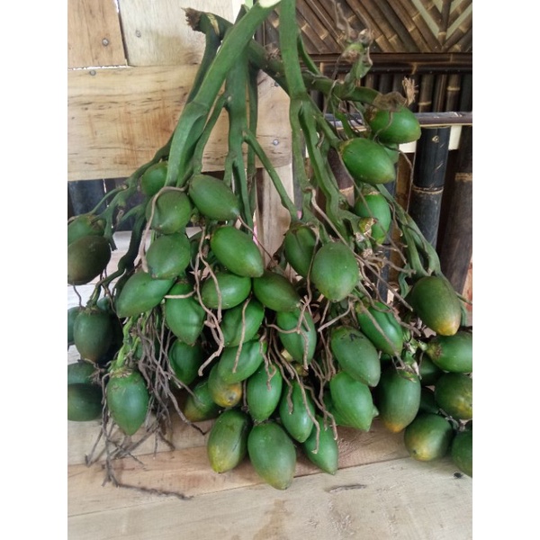 

Buah pinang muda 1 kg