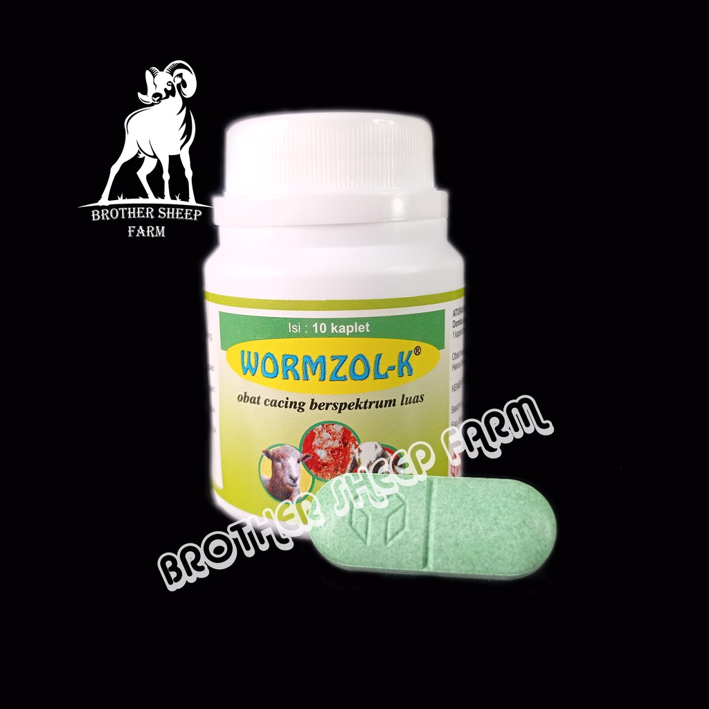 Wormzol K obat cacing domba kambing