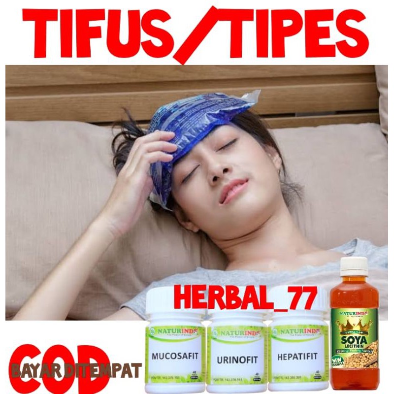 

OBAT TIPES TIPUS TYPUS KELOREENA TROMBOSIT NAIK HERBAL NATURINDO