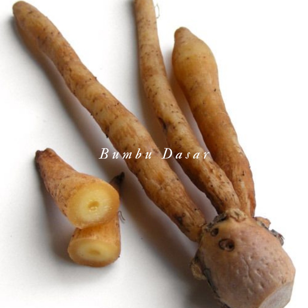 

Bumbu Dasar - Temukunci 50 Gr