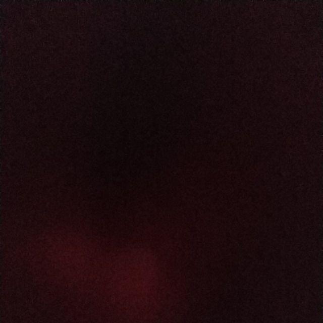 3tangkai Bunny Tail Rustic Dried Flower Alang Alang Bunga Kering