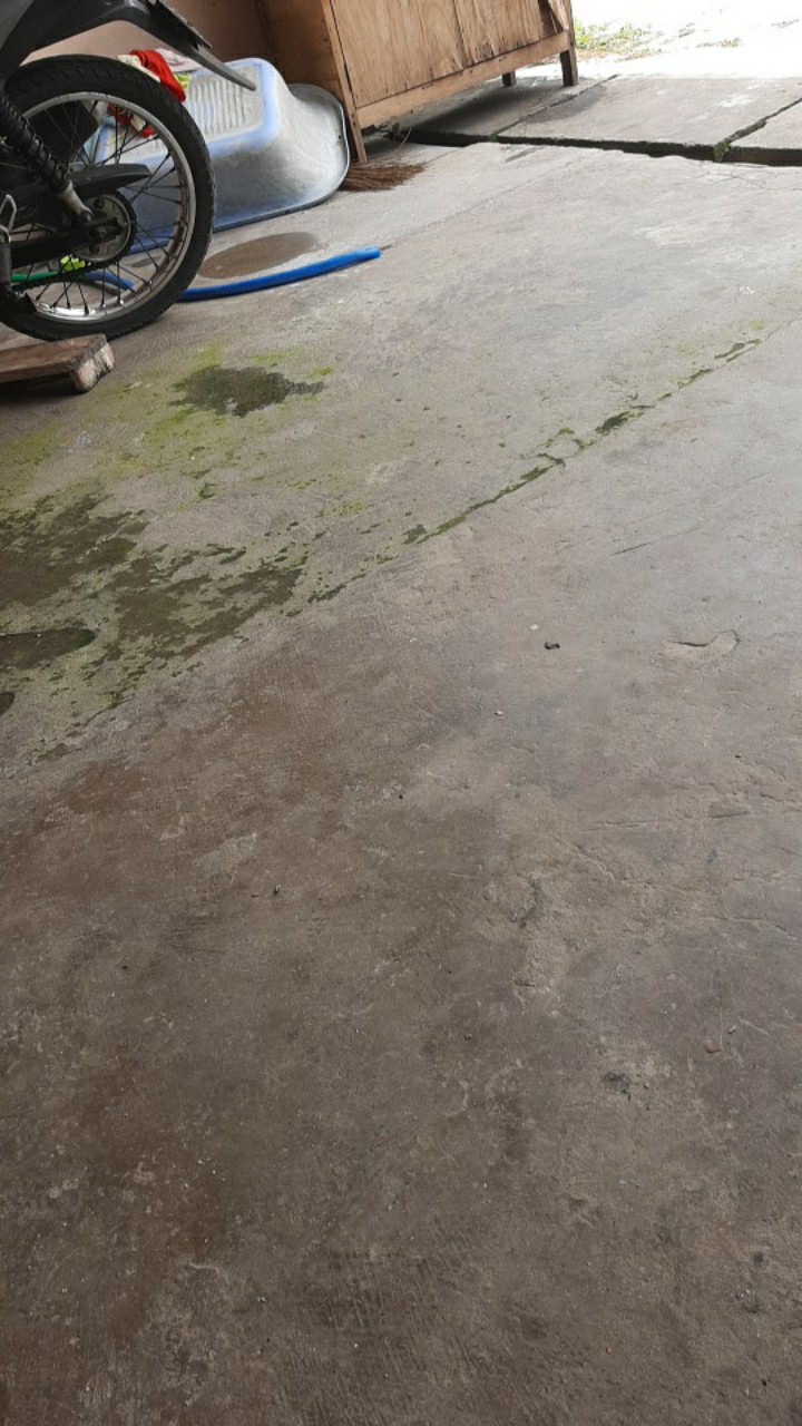 Armature / Angker / Angkur / Rotor Dca Untuk Mesin Gerinda Bosch Gws 7-100