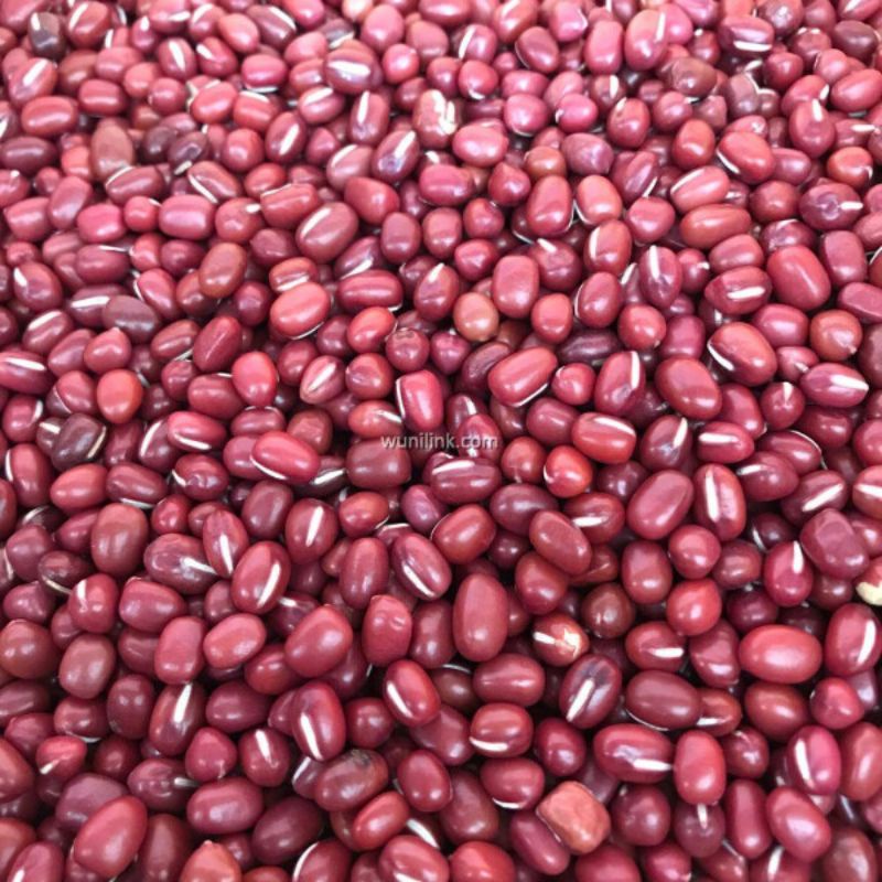 

Kacang Merah | 500 gram, 1 kg