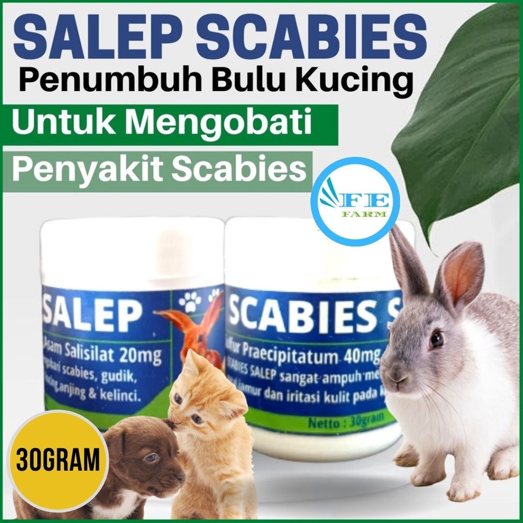 OBAT SCABIES KUCING KELINCI SALEP AMPUH FEFARM