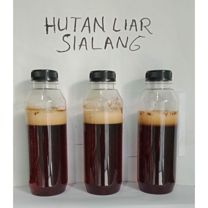 

Madu hutan sialang