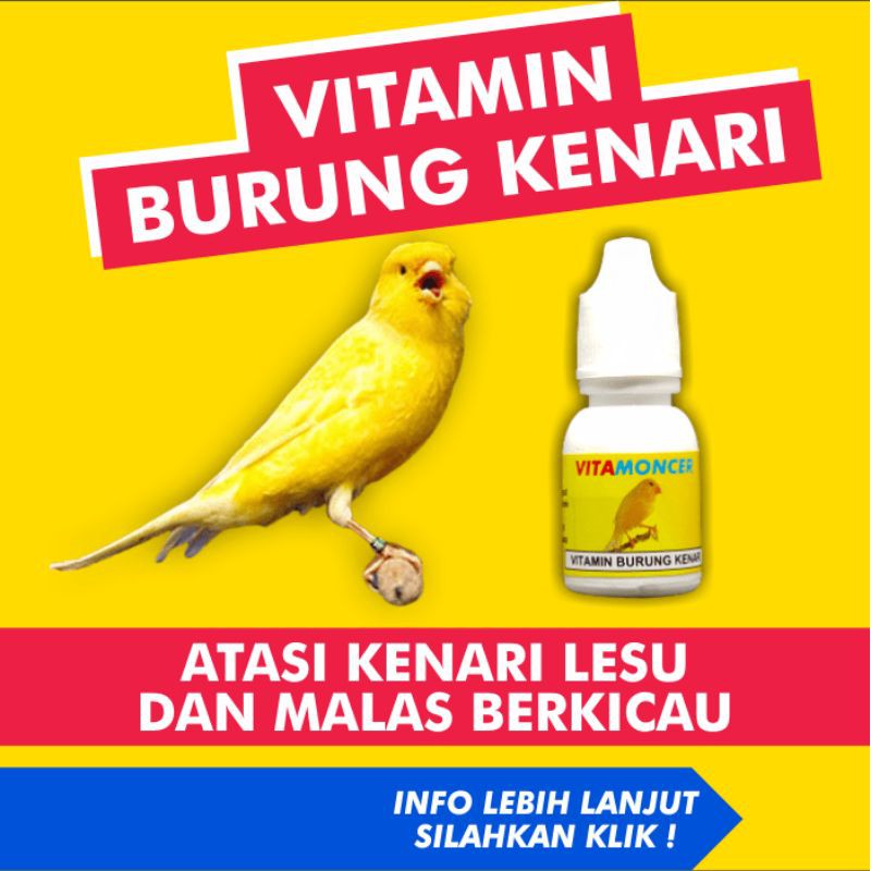 Vitamin Obat Burung Kenari Kicau Gacor Konslet Paling Ampuh Vita Moncer