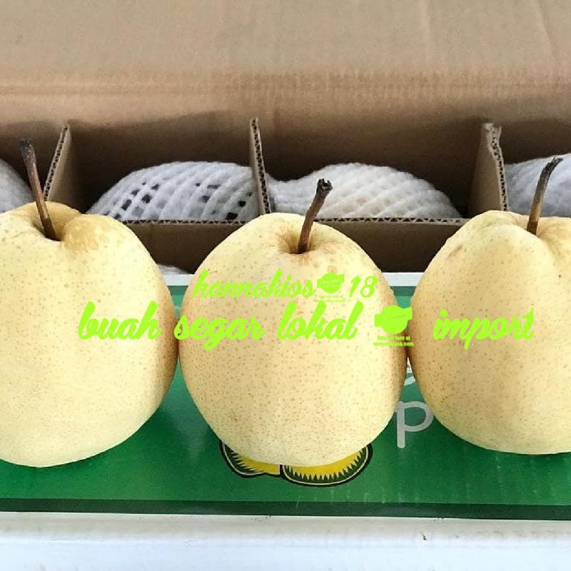 

BUAH PIR PEAR CENTURY 1KG