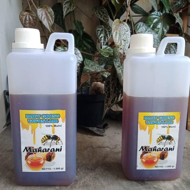 

Madu tawon liar Asli