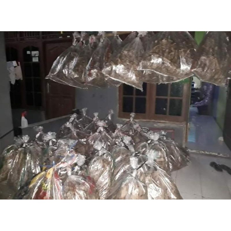 Jangkrik alam / jangkrik hidup karungan / 1karung