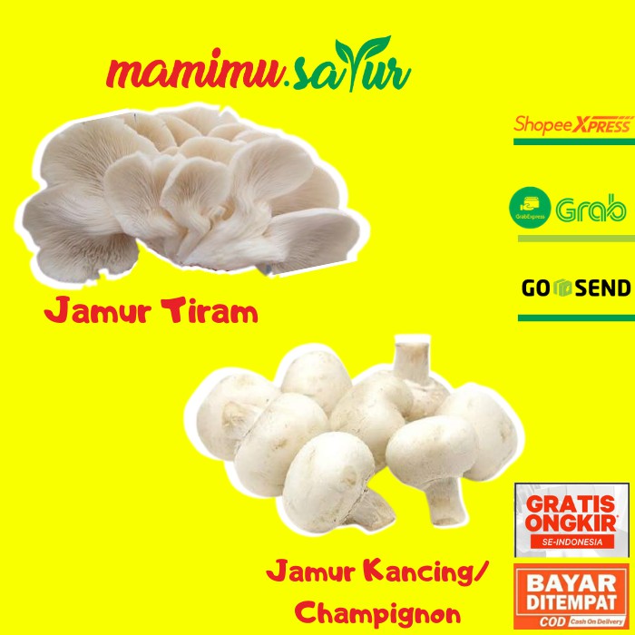

JAMUR TIRAM PUTIH SEGAR MUSHROOM JAMUR PUTIH SEGAR PER BUNGKUS 500 GR JAMUR KANCING 250 GR