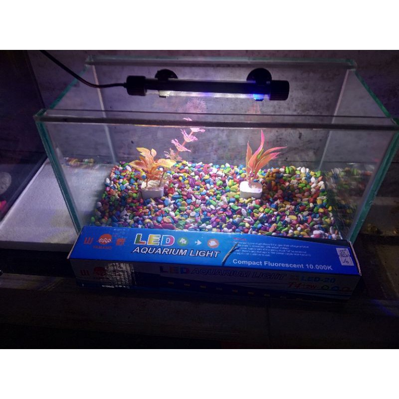 Aquarium Aquascape ukuran 30x15x15 (FULLSET)