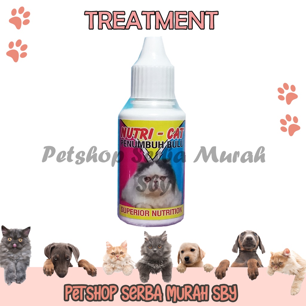 Nutri Cat 30ml - Obat Penumbuh Bulu Kucing