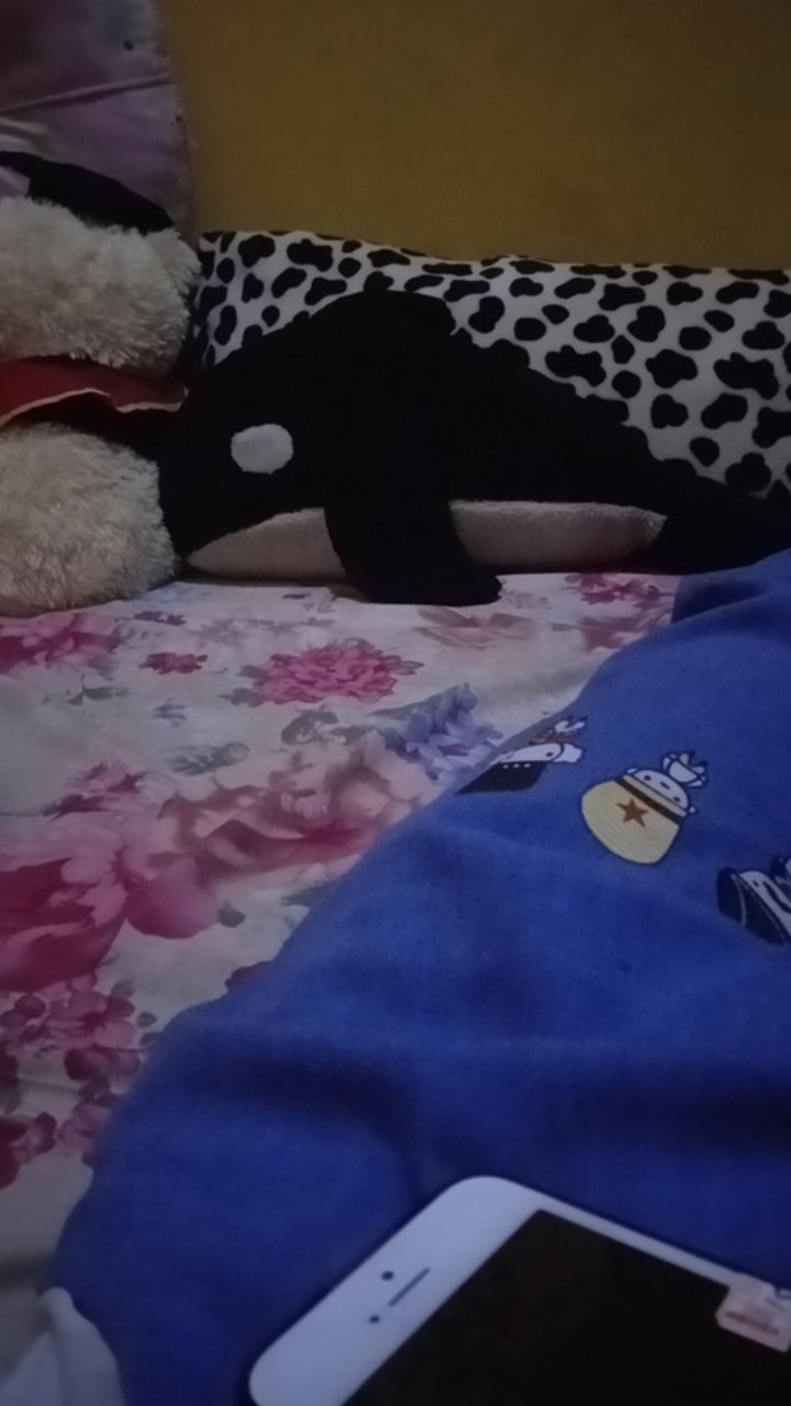 Kotak Frame Satuan Dengan Mika Hantaran Seserahan