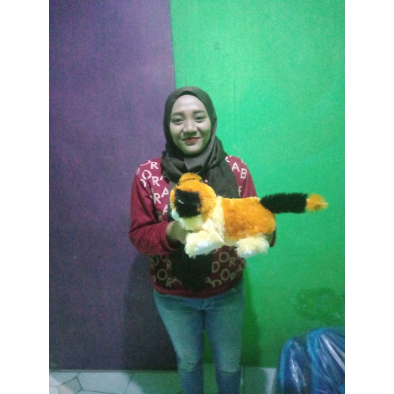 Boneka kucing kecil