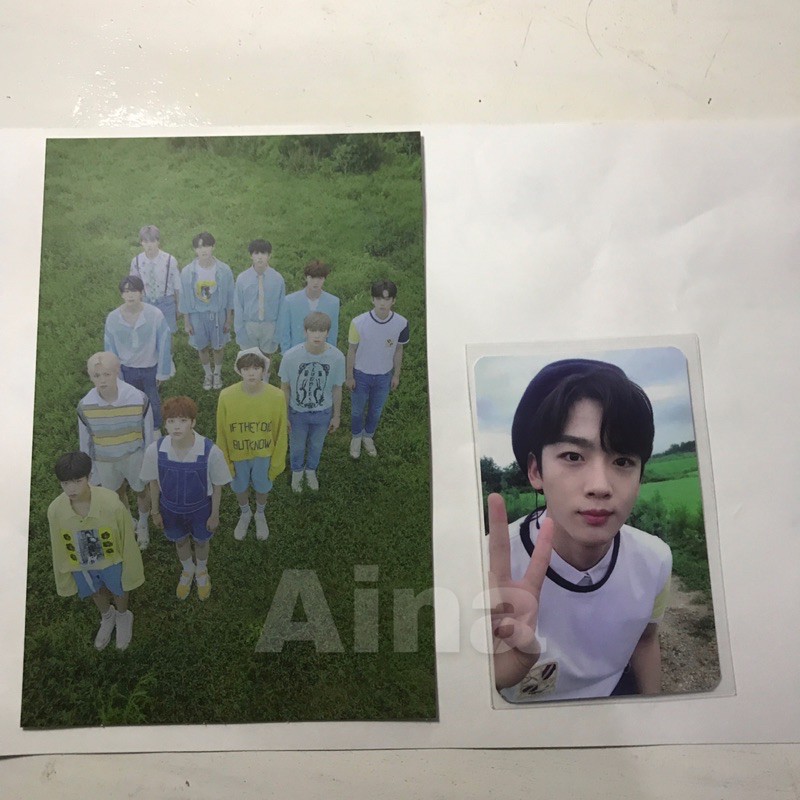 

PC YOHAN BISANG VER POSTCARD X1 BISANG