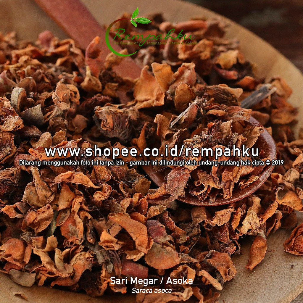 

Rempahku - Bunga SARI MEGAR 10gr Sample Puspa Flower Asoka Megarsari