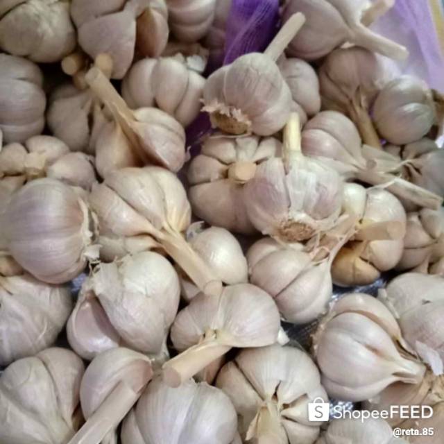 

Bawang putih kating