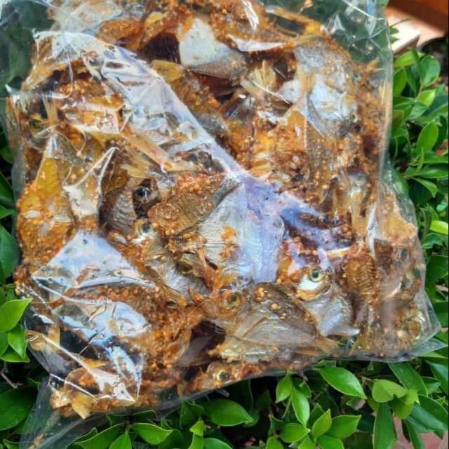 

Ikan kering bumbu dendeng