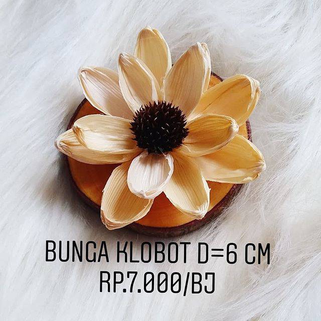 Bunga klobot teratai natural