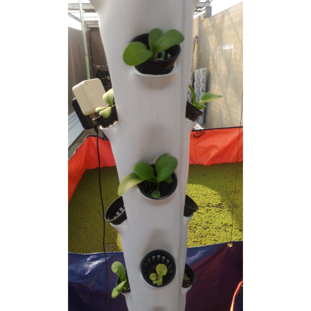 POT TOWER VERTIKAL HIDROPONIK 4 INCH 1,5 M 36 LUBANG INCLUDE NETPOT