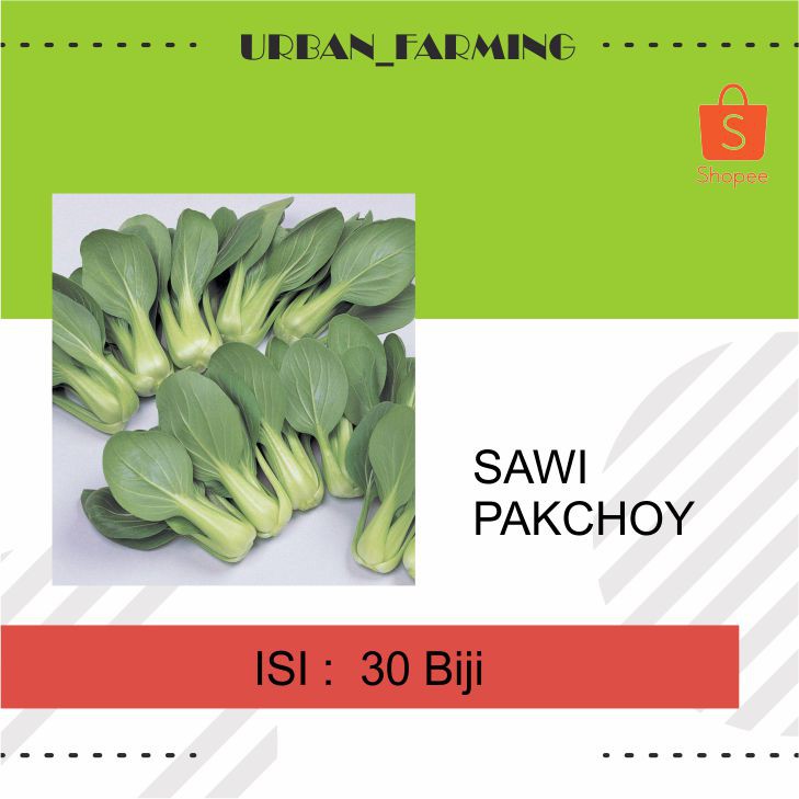 BENIH SAWI PAKCHOY NAULI F1 - CAP PANAH MERAH
