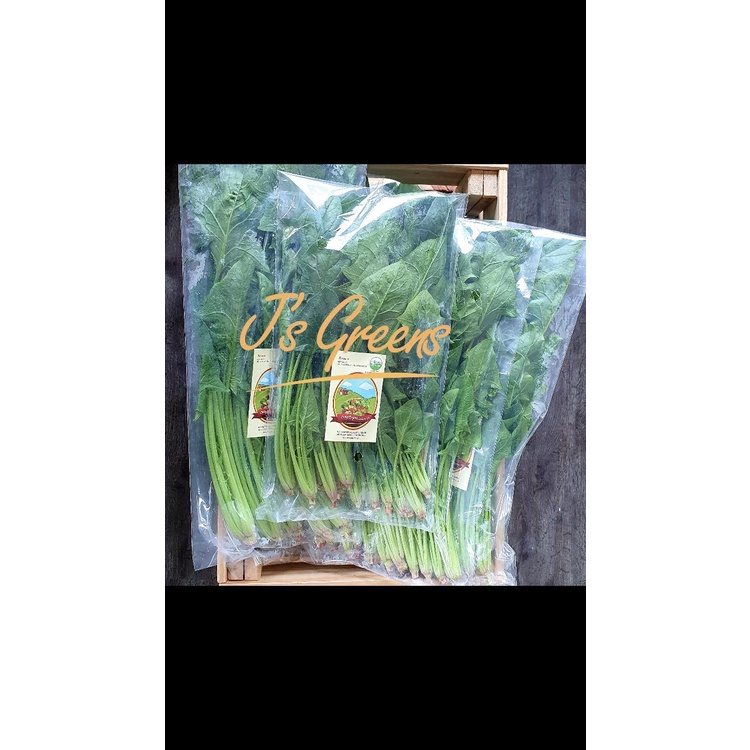 

Horenso Organik Living Organic